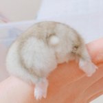 [댓글부탁해] 인문계 내신 <b>커트</b>라인이 몇이야