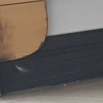 혐..? 얘들아 저거 바퀴벌레로 보여 <b>흰색</b> 자국으로 보여?
