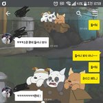 좋아하는 오빠랑 소원빵 <b>내기</b>했는데 뭐 빌지 모르겠어요ㅠ
