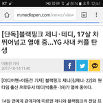 <b>Yg</b>  제니 하고  테디 열애설
