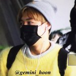 [<b>박지훈</b>] 삐약삐약 노랑이모음(ㅇㅈ댓)
