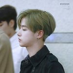 [아이콘] 늦덕 .