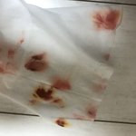 [조언부탁] <b>페리</b>페라 틴트 4900