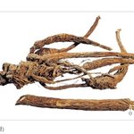 [드루와] 미친; 제니 개이상하게 생김.jpg