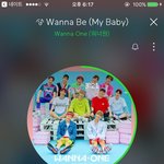 [워너원] 이거봐 애깅들 귀여워