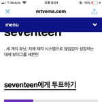 [세븐틴] 공카 캐럿등급으로 등<b>업안</b>된 캐럿들!!