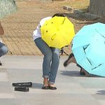[백현] 백현 <b>우산</b>들고와서 씩 웃는 거 너무 소꿉친구 첫사랑적 모먼트