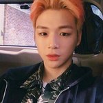 [강다니엘] 녤님 조아하다 핑크머리당했어..( ｡ﾟДﾟ｡)