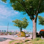 [<b>동의</b>보감] 솔직히 서울 살면 좋지