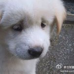나 어떡하지 고2 고3들 와주세요