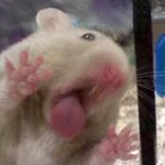 <b>후드</b>티추천좀!!!!!!
