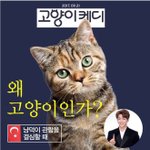 [강다니엘] 후기) 제1회 틀린녤찾기 게임 우승 상품 옴뇸뇸