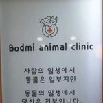 [댓글부탁해] 나나 중3인데 이과갈까 문과갈까