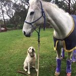 만약 노출있는 옷입었는데 남친이