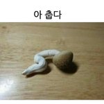 [댓글부탁해] 키 큰 사람 쇼핑몰 <b>추천점</b>