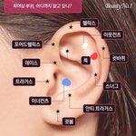 [댓글부탁해] 얘들아 나 친구랑 피어싱 때문에 싸우는데 도와줘ㅠㅠ