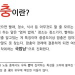 [방탈죄송] <b>맘충들</b> 진짜 극혐 ㅡㅡ