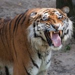 [EXO] ㅅㅂ 개빡쳐 아이디 훔친련들   아오