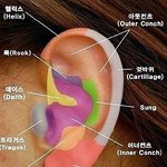 [드루와] 피어싱 궁금한거 대답해줄게