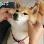 알바가<b>기개</b>싫다 ㅣ진짜