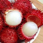 [19] 뽀얗고 부드러운 그녀의 <b>속살</b>