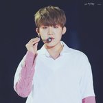 [박우진] <b>참새</b>팬들ㅎㅇ