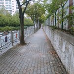 [히힛] 나 <b>조퇴</b>햇당!