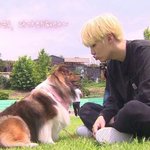 [방탄소년단] ❤달려라 아미❤ 달방 윤기 보고 <b>힘내자</b>