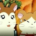 [댓글부탁해] <b>수련</b>회 폰숨기는 방법좀 ㅈㅂㅜㅠ