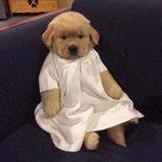 [조언부탁해] 담배<b>피다</b>걸렸는ㄷ데ㅠ
