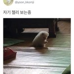 [드루와] 얘들아!!!!!!<b>여권</b>사진찍을때!!!!!조언좀!!!!!