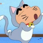 체육대회 <b>반티</b> 이누야샤