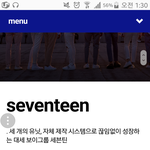 [세븐틴] 캐럿들 제안 하나 해도 될까? 추반해줘