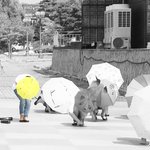 [백현] 화보같은 <b>우산</b>백현