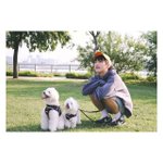 너네 역주행했으면 좋겠는곡 뭐 있음?