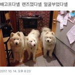 [강다니엘] 기쁘다 다니엘 오셨네