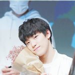 [세븐틴] 세븐틴 <b>디노</b>