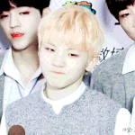 [세븐틴] 세븐틴 <b>우지</b>