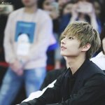 [세븐틴] 세븐틴 준