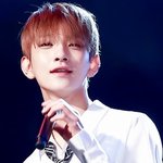 [세븐틴] 세븐틴 조슈아