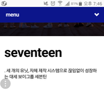 [세븐틴] 캐럿들.....