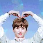 [강다니엘] 녤의 장난감 칼 보관방법(졸커주의)