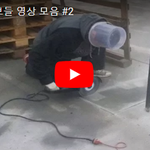 [유머북] 직장 내 바보들 영상 모음 #2