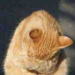 [댓글부탁해] 얘들아 <b>딴</b> <b>반</b> 애들 3명이 꿈을 꿨는데