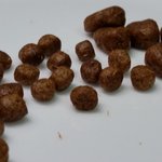 ‘시리우스윌’ 사료 이물질 조심하세요!!