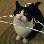 [댓글부탁해] 고등학교 중에 <b>사립</b> 공립 뭐가 더 나아