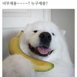 판에 글 쓰고 <b>상단</b>바에 "판" 이것 좀 안 떴음 좋겠다