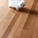 스쉐 입큰 쿠션 어때? <b>답</b>하면 남자한테 톡<b>옴</b>