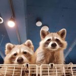 오늘<b>쏘우</b>4를봤는데뭔내용이야?