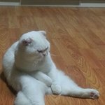 넌 <b>연구</b>대상이야.